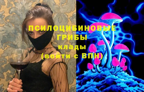 Альфа ПВП Няндома