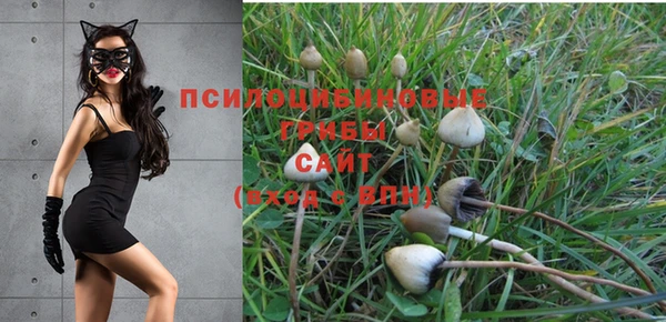 Альфа ПВП Няндома