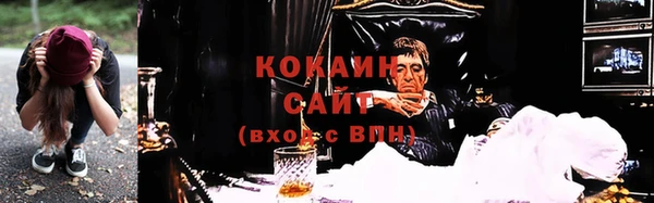 прущие грибы Нягань