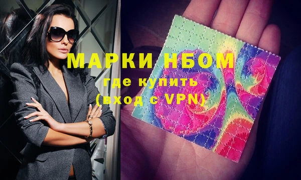 амф Новозыбков