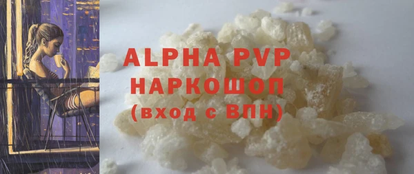 Альфа ПВП Няндома