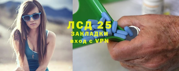 прущие грибы Нягань