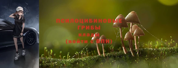 Альфа ПВП Няндома