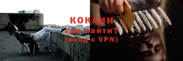 прущие грибы Нягань