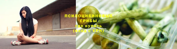 прущие грибы Нягань