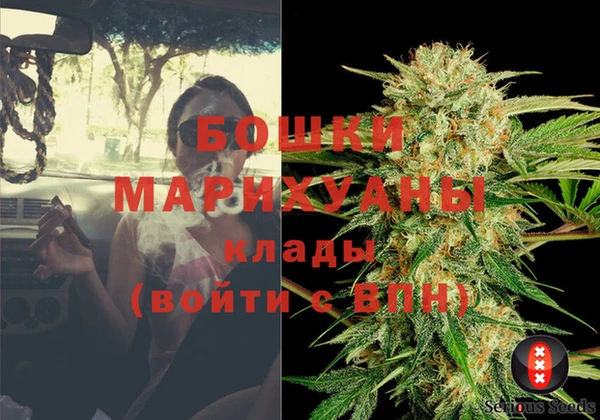 прущие грибы Нягань