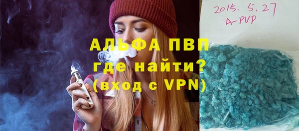Альфа ПВП Няндома
