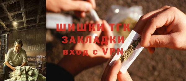 прущие грибы Нягань