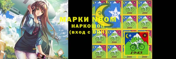 Альфа ПВП Няндома